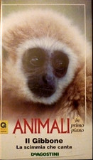 Piero Angela Animali In Primo Piano IL GIBBONE VHS 1995