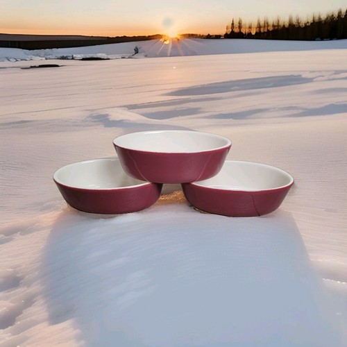 Casseruola ovale ceramica - (3),