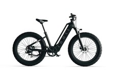 Cyrusher Bici Elettrica