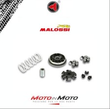 Variatore Malossi Multivar