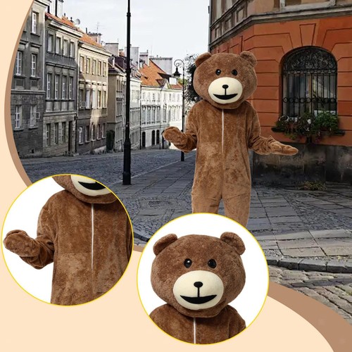 Costume mascotte dell orso - costume,