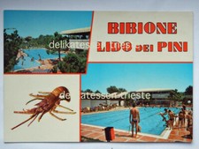 BIBIONE Lido dei Pini Ristoranye La Terrazza Venezia vecchia cartolina