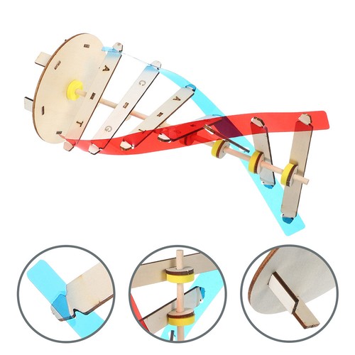 Kit progetto modello - modello, dna