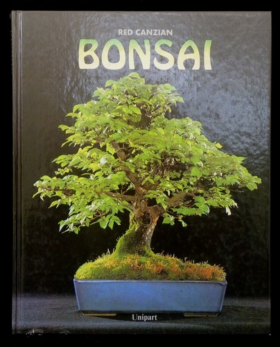 Promozione bonsai red - -,