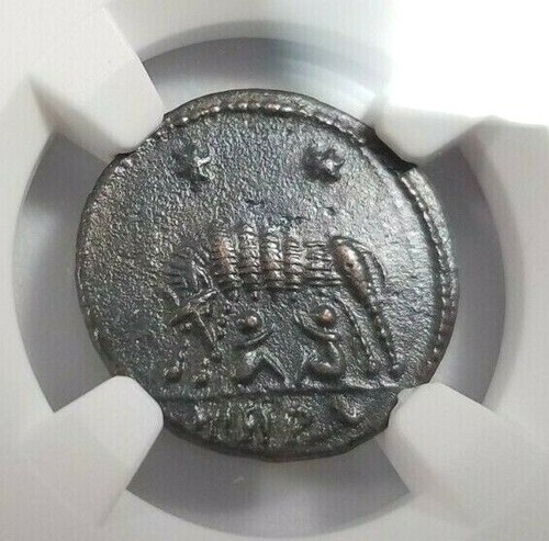 She wolf twins costantine ngc - twins,