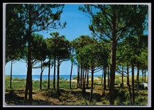 Cartolina Eraclea Mare -