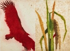 BENATI DAVIDE - Baia California - Acquaforte acquatinta a tiratura limitata