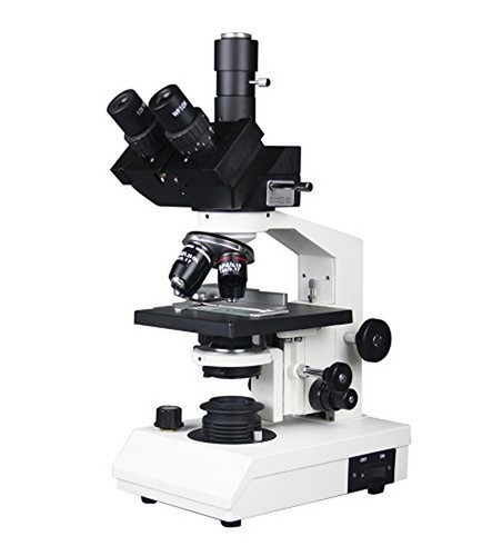 Radical 1500x professionale - radical,