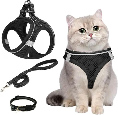 Pettorina gatto antifuga con - gatto,