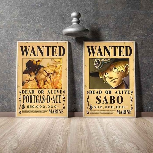 One piece coppia - poster, taglie