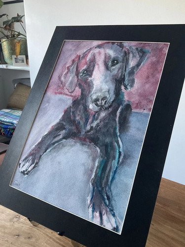 Acquerello cane labrador nero - cane,