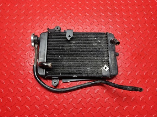 Radiatore acqua honda 300 - radiatore,