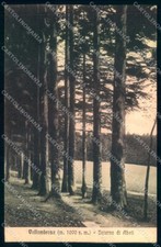 Firenze Vallombrosa Abetina