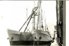 1970 NIZZA Il nuovo cargo catamarano GLORIA SIDERIUM *Fotografia 18x13