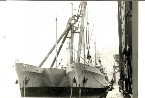 1970 nizza nuovo - il,