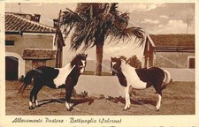 ec10 cartolina battipaglia