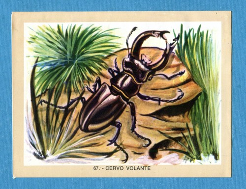 Naturama lampo 1968 - 1968,
