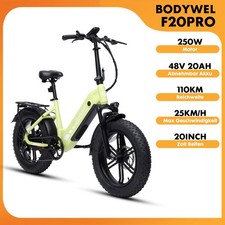 Bicicletta elettrica 20'' 48V
