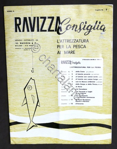 Rivista ravizza consiglia - rivista,