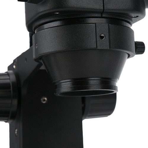 Microscopio stereo