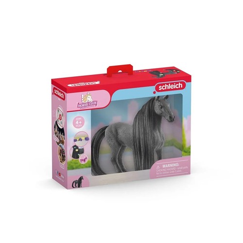 Giumenta criollo miniatura - giumenta,