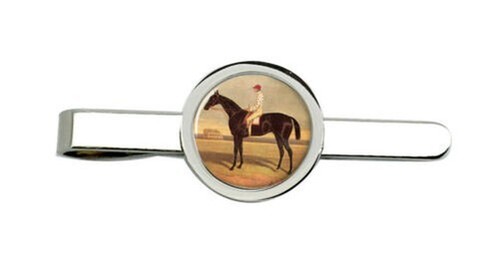 Cavallo corsa voltigeur da - cavallo,