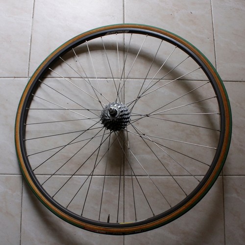 Ruota posteriore campagnolo - posteriore,