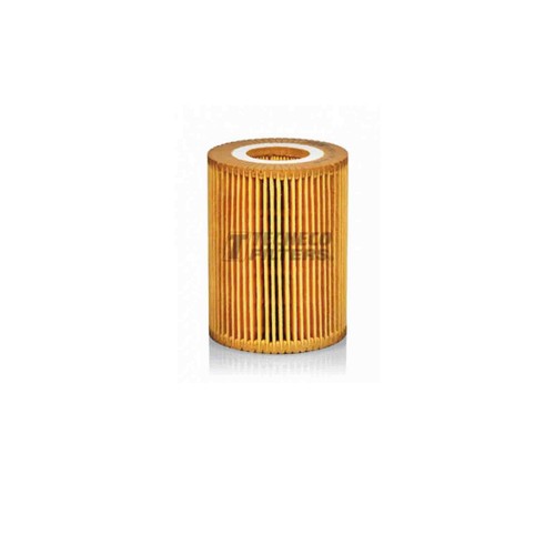 Filtro olio bmw 330xd - olio,