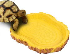 Bowls for Reptiles &