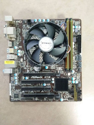 Scheda madre asrock - madre,