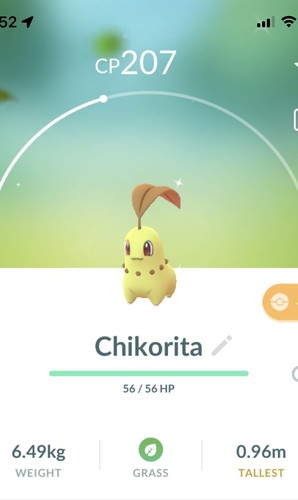 Shiny chikorita pokemon gen2 - chikorita,