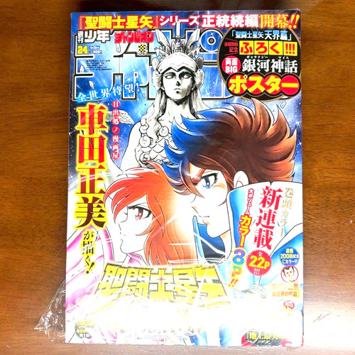 Saint seiya next - saint,