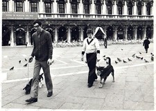 1977 VENEZIA Cani in Piazza