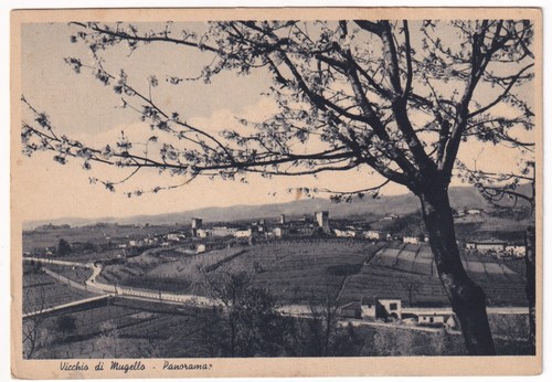 P04761 cartolina vicchio di - cartolina,