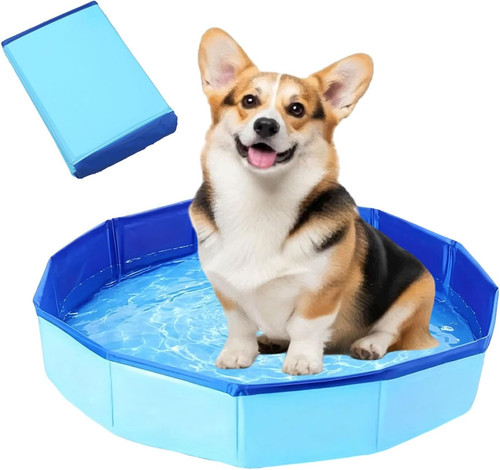 Piscina per cani - piscina,