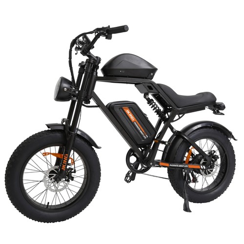 Bici elettrica 20x4 batteria