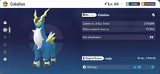 Pokemon Leggende Z-A ZA 6IV