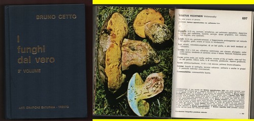Cetto funghi dal - cetto,