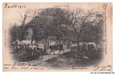 CAR-AGCP5-0223-14 - Dintorni