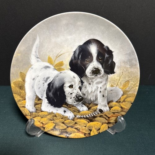 Setter inglese decorazione