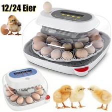 Incubatrice 12-24 uova