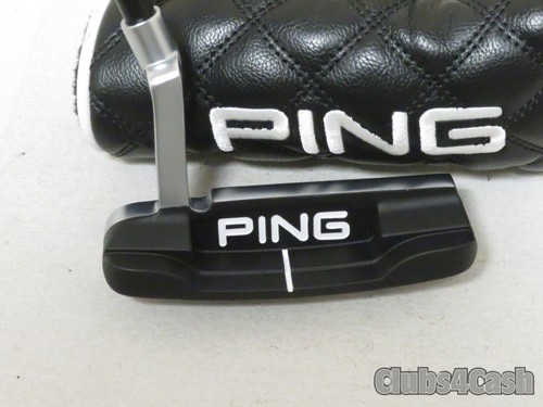 Ping 2023 anser - ping, punto