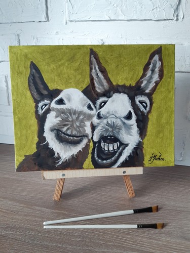 Due divertenti duo asini - duo,