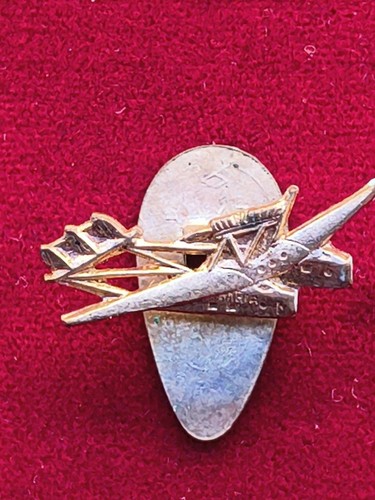 Spilla commemorativa - spilla,