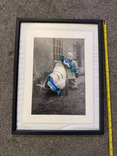 AUSTIN Pathfinder J40 pedal