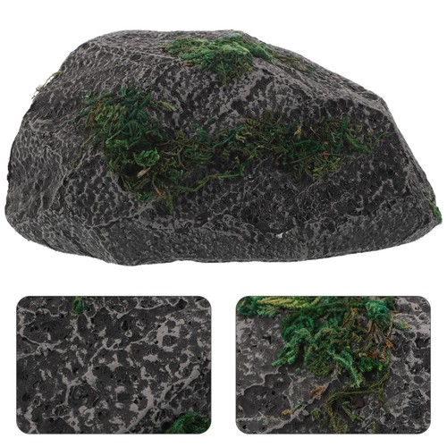 Terrari pietra per anfibi - terrari,