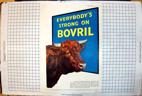 Antica vecchia stampa bovril - antica,