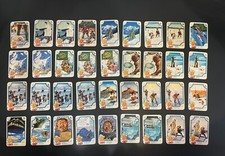 MIRALANZA “Il Grande Nord”