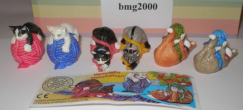 Set completo gatti - set, "gatti