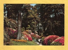 Lago di Como  Villa Carlotta il Parco non viaggiata 